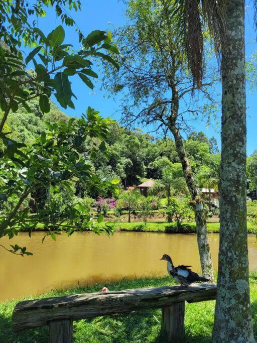 Em - Serra Gaucha Holiday home *