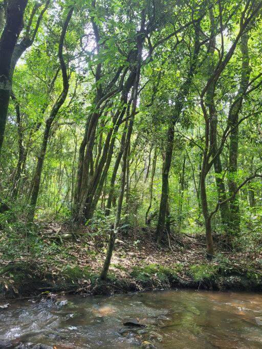 Em - Serra Gaucha *